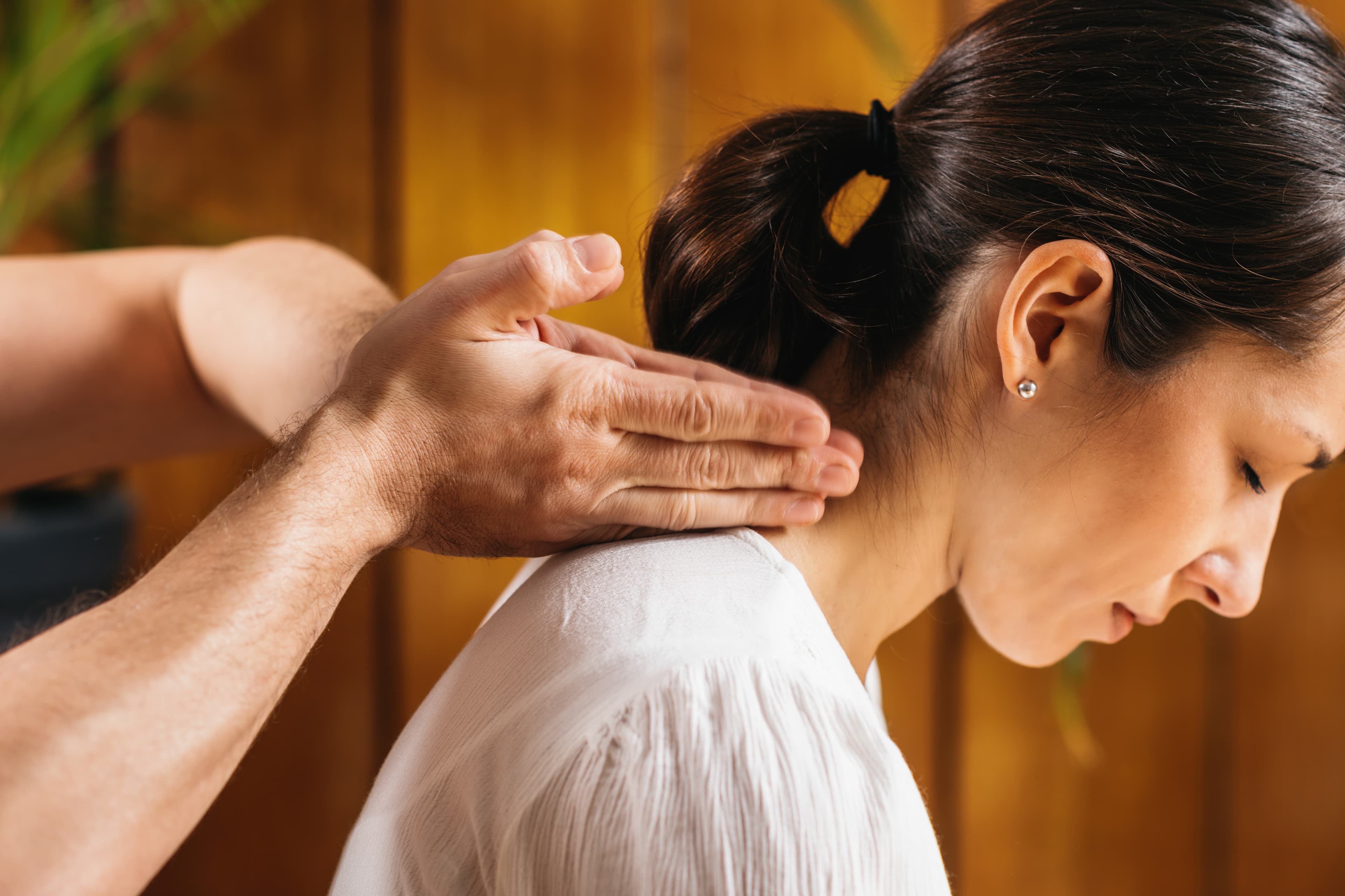Neck and Shoulder Massage with Kizhi image